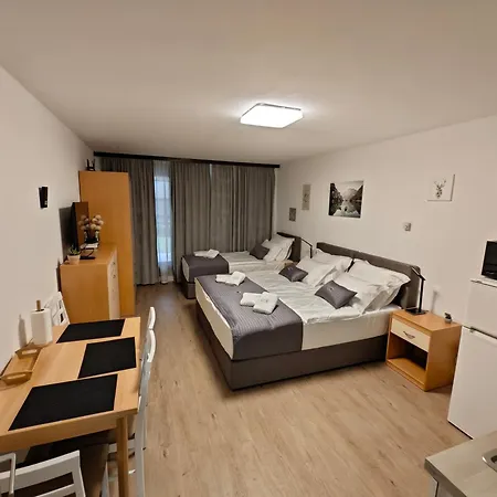 Vivo Apartment Bovec